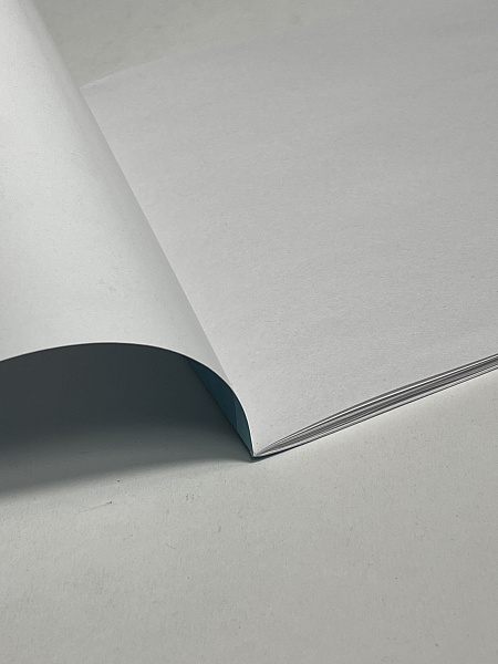 Альбом для рисования 12 листов, на скрепке, А4, обложка мелованная бумага 120г/м, блок офсет 100г/м