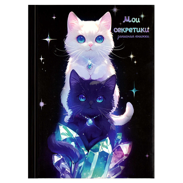 Записная книжка "ДВА КОТА" / А6, 64 л., твёрдый переплёт с поролоном, полноцветная печать, глянцевая ламинация. Блок - белый офсет, 65 г/м², печать в одну краску (пантон) ,