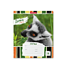 Тетрадь 18 листов в клетку "Lemur Style" ErichKrause (в плёнке по 10 шт.)