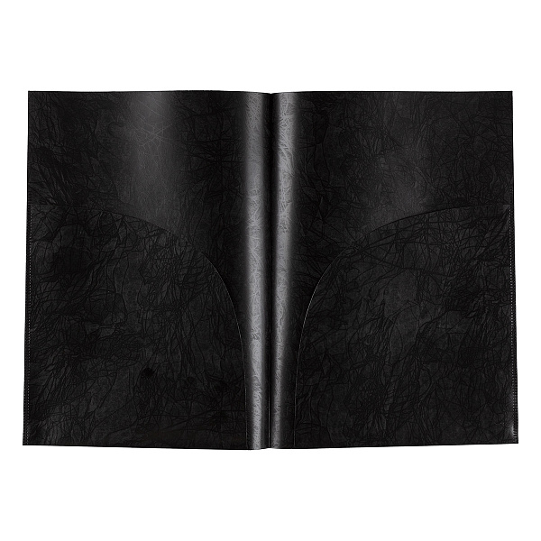 Папка - уголок А4 (2 кармана) "Expert Complete" Premier 180 мкм волокно черный new