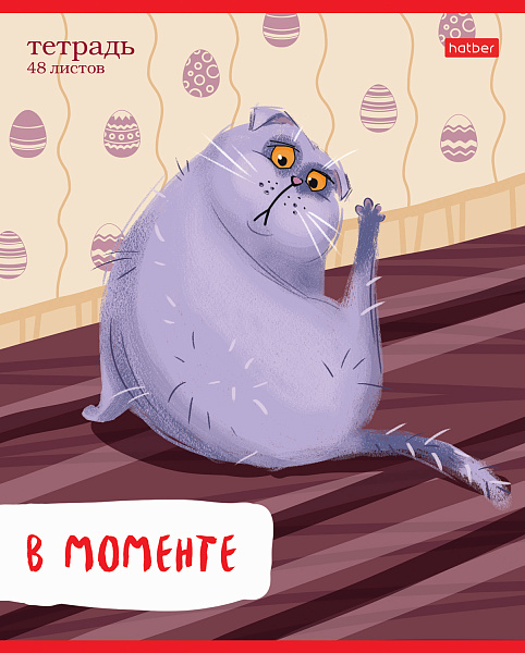 Тетрадь 48 л. лин. "Кот-обормот" 5 диз.в блоке скругл.углы 65г/кв.м 
