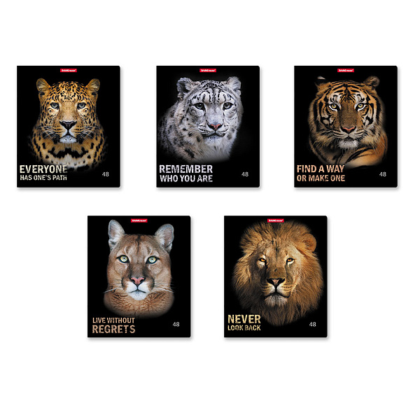 Тетрадь 48 л. кл. "Strong and Brave" матовая ламинация ErichKrause