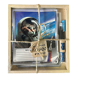 Набор Тетрадь "Бравые ребята" А5 18 л. кл. 5 шт. + Ручка гел. 0,5 мм стираемая, СИНЯЯ + Ручка гел. 0,5 мм стираемая, СИНЯЯ в подарочной упаковке