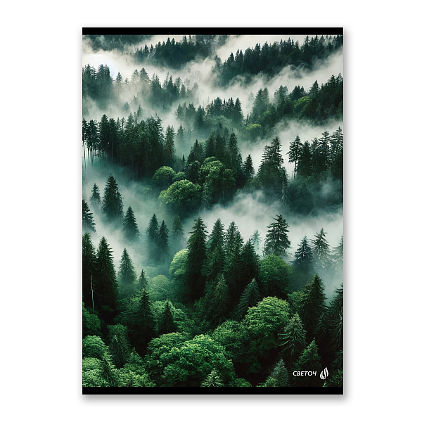 Тетрадь A4 80 л. кл. "Твой край" на скобе 65 г/кв.м , белизна 100 % 01347 "Светоч"