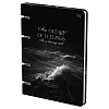 Тетрадь на кольцах А5 120 листов в клетку, BG "Ocean", обложка из картона, матовая ламинация, 65 г/м2