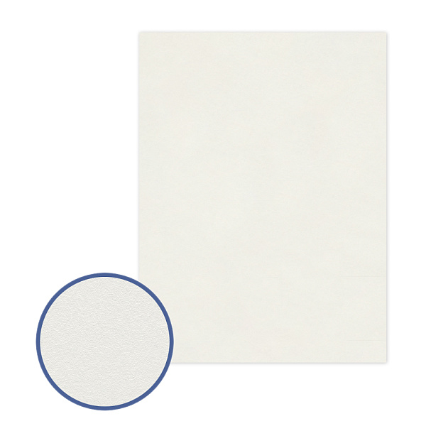 Картон грунтованный "VISTA-ARTISTA" 30 х 40 см  .