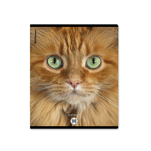 Тетрадь 96 листов в клетку "Cats", матовая ламинация  ErichKrause _MIX-PACK