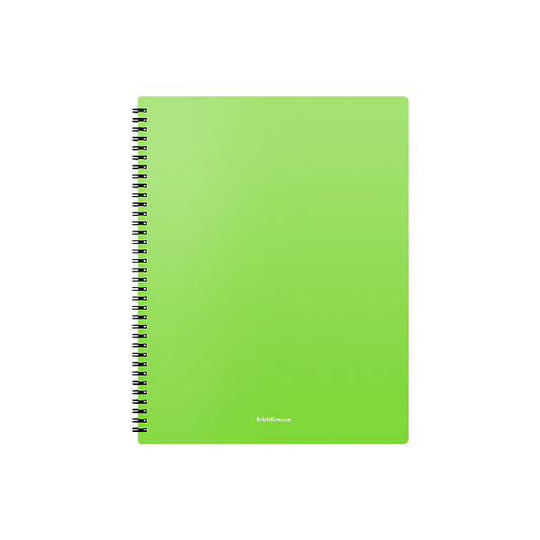 Папка файловая пластиковая на спирали ErichKrause® Matt Neon, с 20 прозрачными карманами, A4, ассорти (в пакете по 4 шт.)