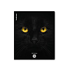 Тетрадь 96 листов в клетку "Cats", матовая ламинация  ErichKrause _MIX-PACK