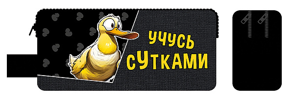 Пенал-косметичка, двухсекционный (двухсторонняя печать, ткань) с ручкой 200/90/55 (20) (, УЧУСЬ СУТКАМИ 2025)