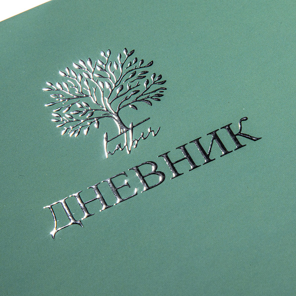 Дневник школьный для 1-11 классов 40 листов твёрдый переплет "Лаконично" А5ф запечат. форзац ламинация СОФТ ТАЧ 3D фольга 