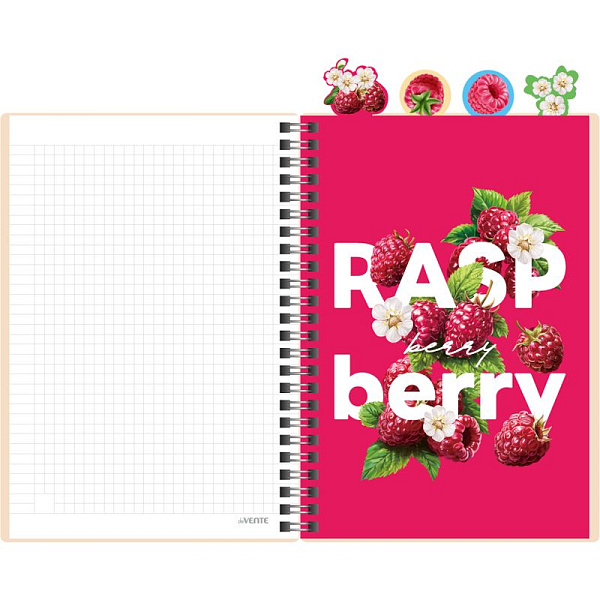 Тетрадь 80 листов в клетку на гребне с разделителями "deVENTE. Fruits. Raspberry"  А5 (145x208 мм) пластиковая обложка, белая бумага 70 г/м², цветная печать, 4 пластиковых разделителя с фигурной вырубкой и дизайном, термоусадочная пленка