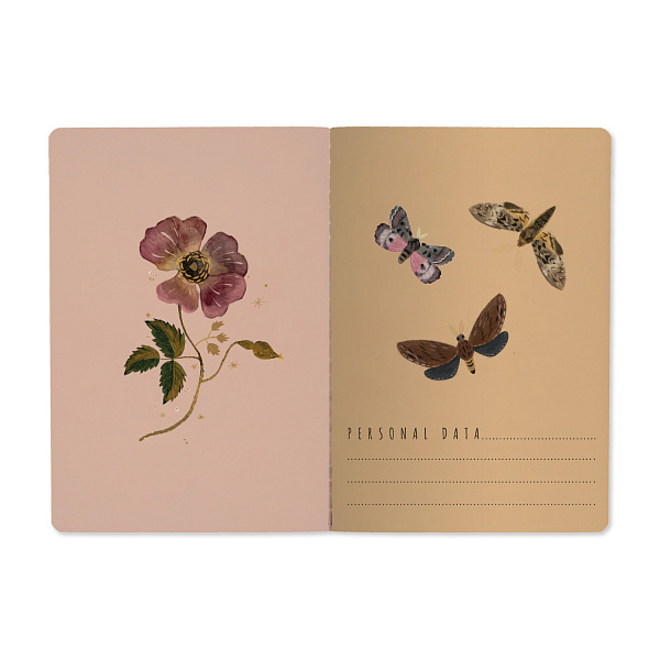 Тетрадь BV А5 40 л. лин. "FLORA.Бабочки.Ночные цветы" Bruno Visconti 