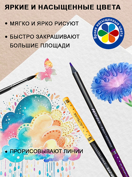 Карандаши 12 цв. акварельные ACMELIAE Blackwood +кисточка, металл футляр