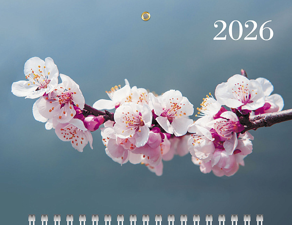 Календарь 2026 3-х блоч. на 3-х гребнях МИНИ-3 "Цветущая сакура" 195х470мм бум. Офсет. цветной блок с бегунком цветная подложка  в индив.упак.