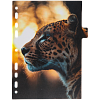 Разделитель листов "deVENTE. Nature" A5 (160x210 мм) ламинированный мелованный картон 210 г/м2, с рисунком, 8 шт, индивидуальная упаковка
