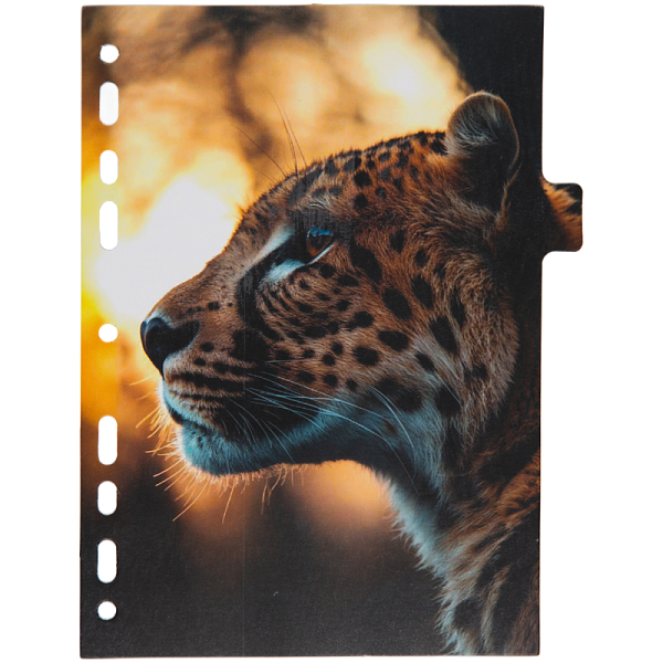 Разделитель листов "deVENTE. Nature" A5 (160x210 мм) ламинированный мелованный картон 210 г/м2, с рисунком, 8 шт, индивидуальная упаковка