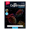 Скретчинг 18*24см Морские обитатели "Рифовые рыбки"