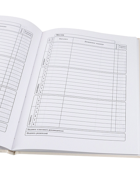 Дневник 5-11 кл. 48 л. тв.переплет "КЛАССИКА ФАСТФУДА - 1" глянц.ламин.