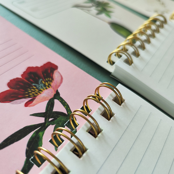 Блокнот В6- 100 л. лин. на гребне «CUTE JOURNAL» BV, "БАОБАБ"