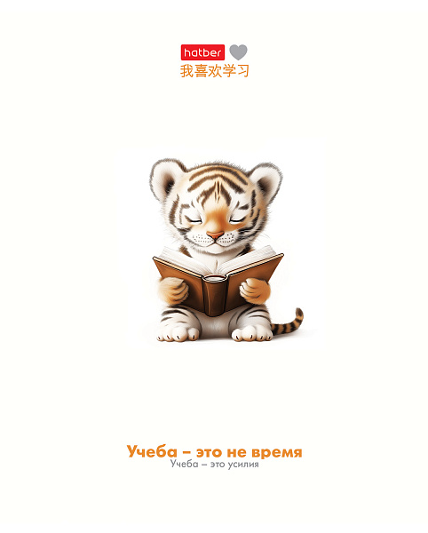 Тетрадь 48 л. кл. "Я люблю учиться" 60-65г/кв.м мат.ламин. 5 диз.в блоке скругл.углы 