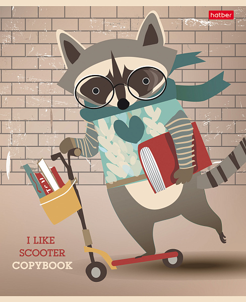 Тетрадь 48 л. кл. "I LIKE_sсooter" мат.ламин. 5 диз.в блоке скругл.углы 