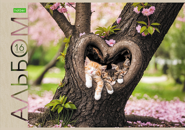 Альбом для рисования 16 листов "Маленькие мурлыки"  "ECO" А4ф на скобе 5 диз.в блоке