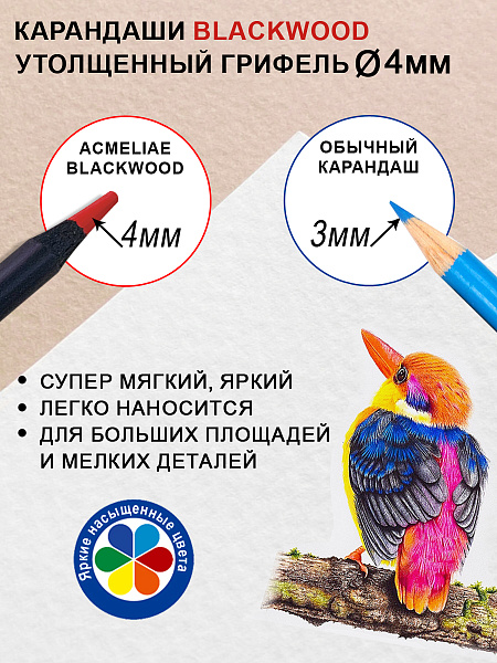 Карандаши 72 цв. ACMELIAE Blackwood Artmate в металлическом футляре