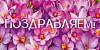 Конверт для денег "Поздравляем!" цветы