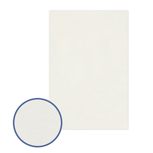 Картон грунтованный "VISTA-ARTISTA"  20 х 30 см .