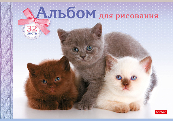 Альбом д/рис. 32 л. "Ассорти" тиснение 