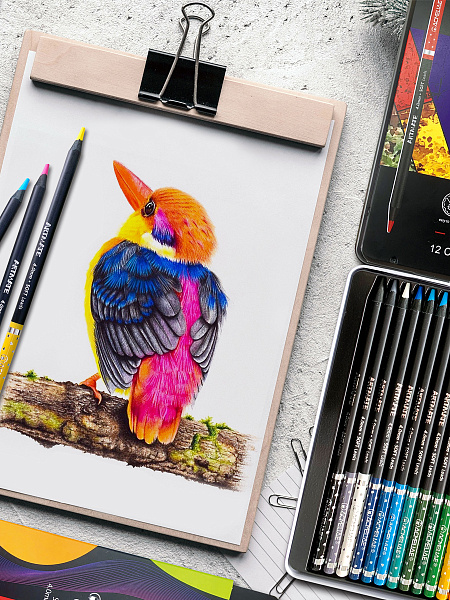 Карандаши 72 цв. ACMELIAE Blackwood Artmate в металлическом футляре