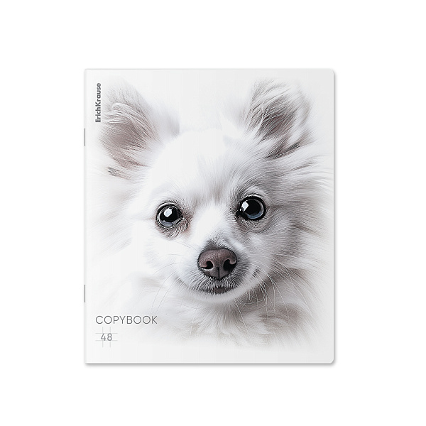 Тетрадь 48 л. кл. "Whiteout", ламинация soft-touch+выборочный УФ-лак ErichKrause _MIX-PACK