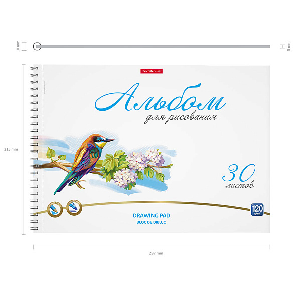 Альбом д/рис. 30 л. на спирали ErichKrause Birds, А4, микроперфорация
