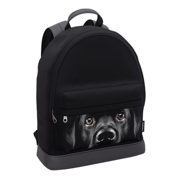 Рюкзак ErichKrause StreetLine с отделением для ноутбука 17L Black Dog
