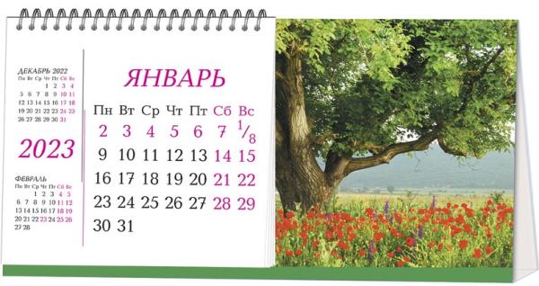 Календарь 2025 ДОМИК настольный "Маковое поле" горизонт.
