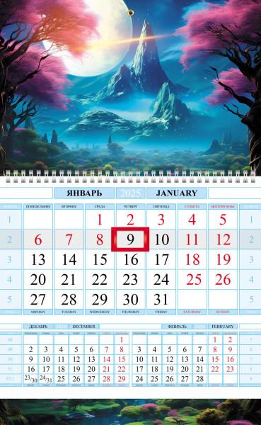 Календарь 2025 1-блоч. на 1 гребне Соло-Люкс "Далекая планета" 290х470мм  Бумага Офсет цветной блок 