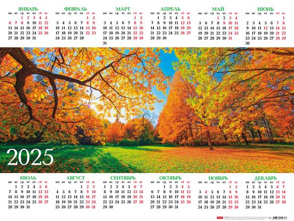 Календарь листовой 2025 А2 "Золотая осень" 598х450мм бум. мелован. с укрупненной сеткой