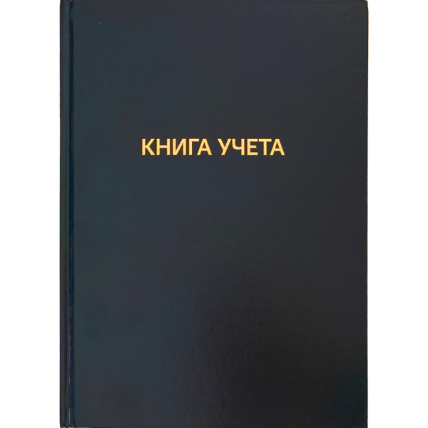 Книга учета 96 л. кл. бумвинил "deVENTE" A4 офсет 60 г/м², 92% белизна, тиснение фольгой