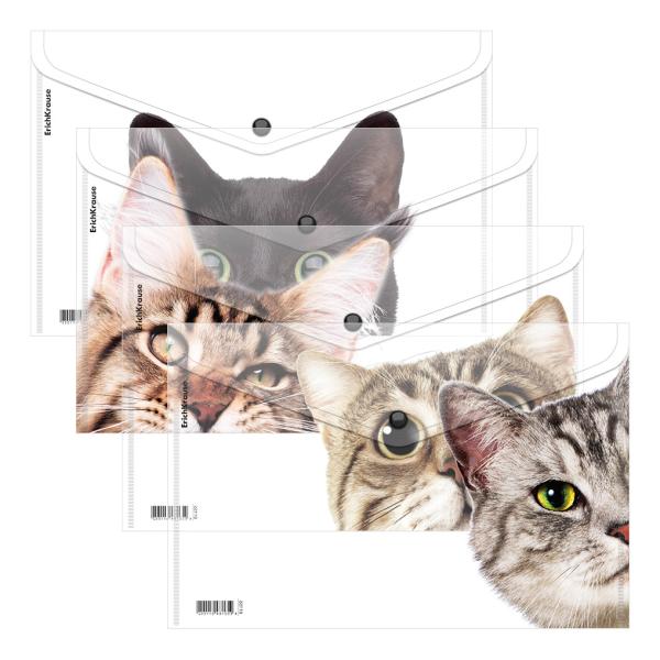 Папка-конверт на кн. А4 ErichKrause Hiding Cats, ассорти (в пакете по 12 шт.)